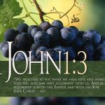 1john 1 3