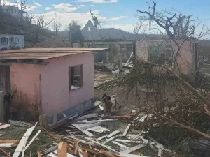 96067739_1761859350765271_r